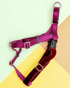 Freedom No-Pull Harness in Burgundy (Made in the USA)