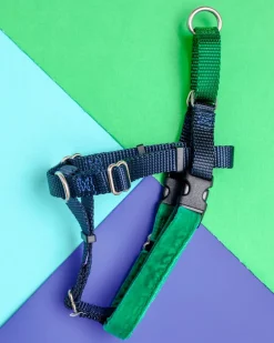Freedom No-Pull Harness in Navy & Hunter Green (Made in the USA)