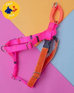 Freedom No-Pull Harness in Neon Pink & Orange (Made in the USA)