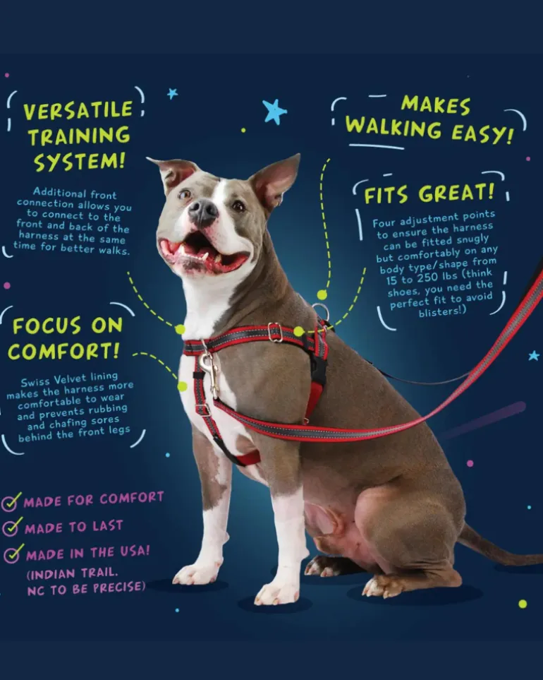Freedom No-Pull Harness in Neon Pink & Orange (Made in the USA)