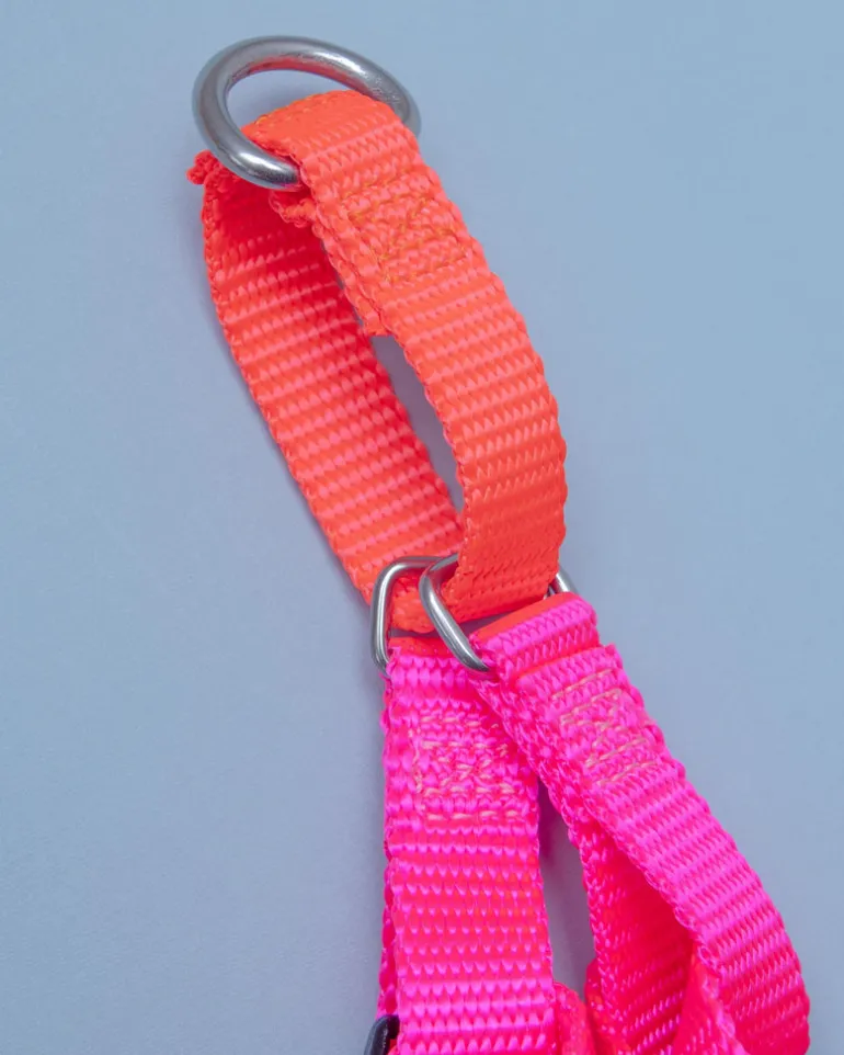 Freedom No-Pull Harness in Neon Pink & Orange (Made in the USA)