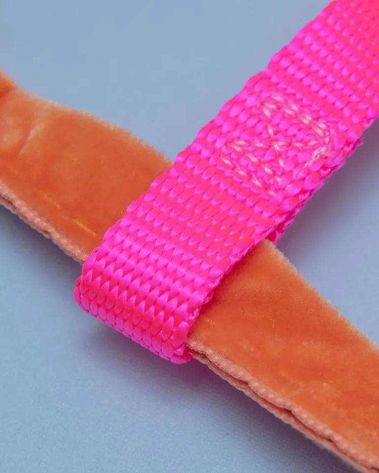 Freedom No-Pull Harness in Neon Pink & Orange (Made in the USA)