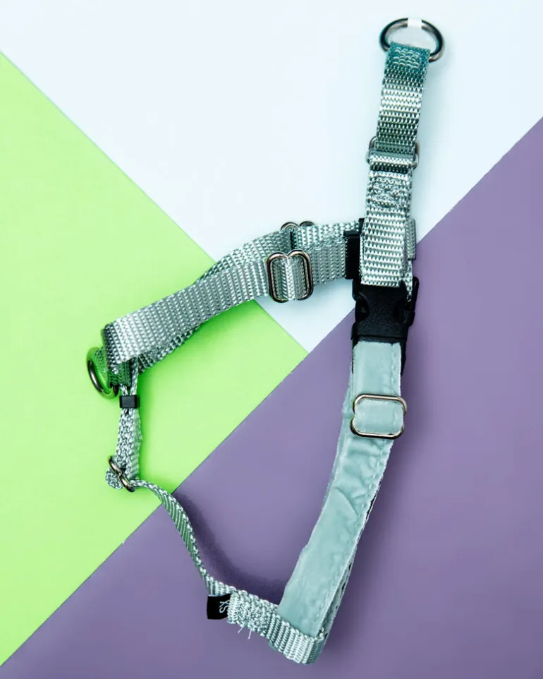 Freedom No-Pull Harness in Silver (Made in the USA)