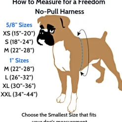 Freedom No-Pull Harness in Spice (Made in the USA)