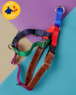 Freedom No-Pull Harness in Spice (Made in the USA)