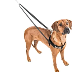 Freedom No-Pull Harness in Spice (Made in the USA)