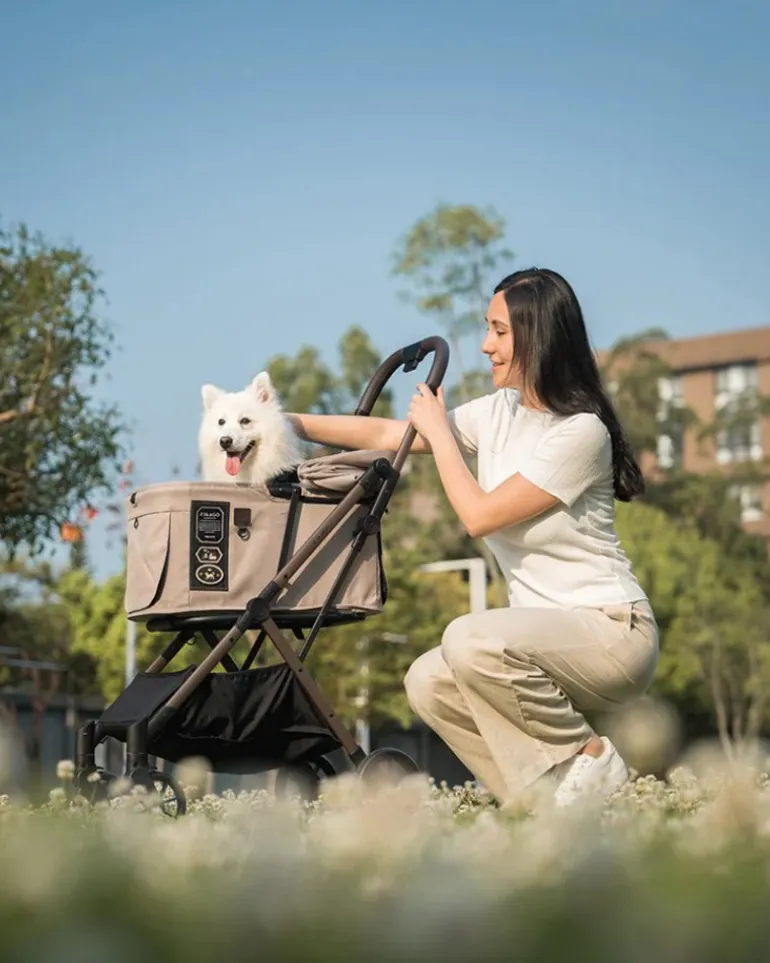 FREE-TO-GO 2 Pet Stroller in Sandy Beige (NYC In-Store or Local Pick-Up ONLY)