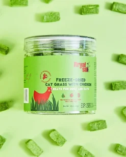 Freeze-Dried Cat Grass w/ Chicken Treats for Dogs & Cats
