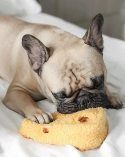 Fromage Enrichment Dog Toy