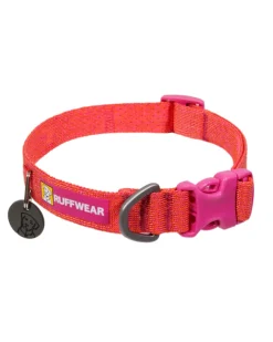 Front Range™ Flex Dog Collar in Rose Violet
