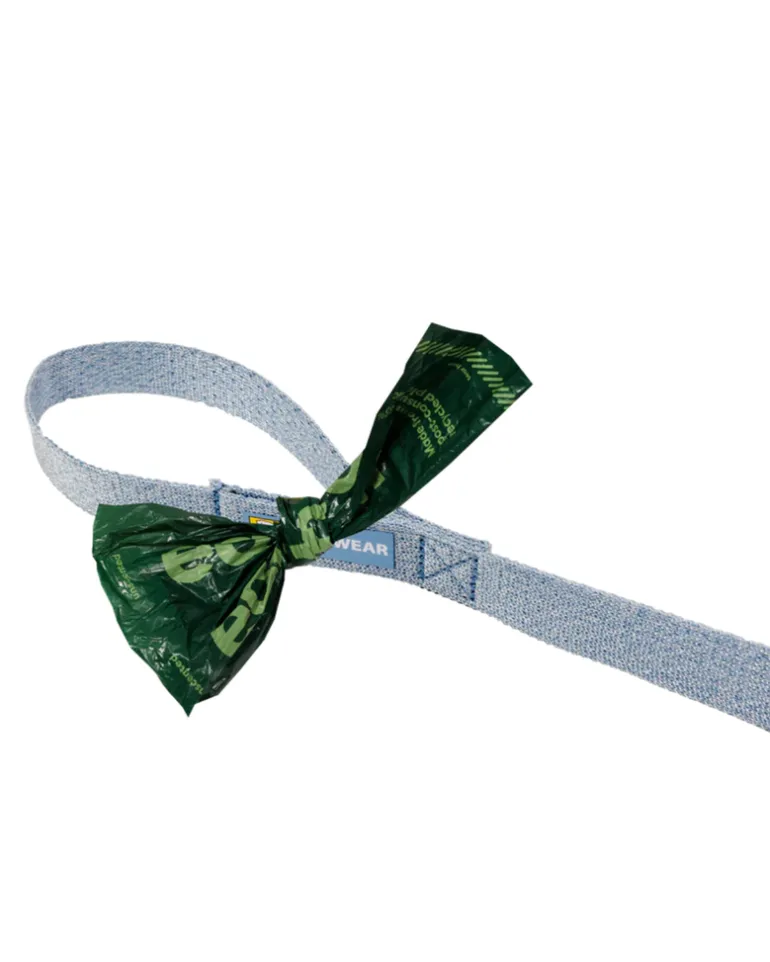 Front Range™ Flex Dog Leash in Polar Blue