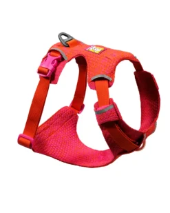 Front Range Flex Harness in Rose Violet