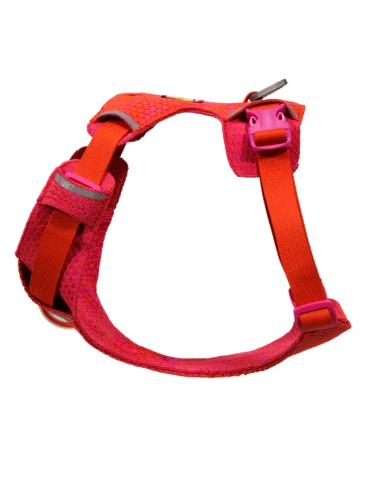 Front Range Flex Harness in Rose Violet