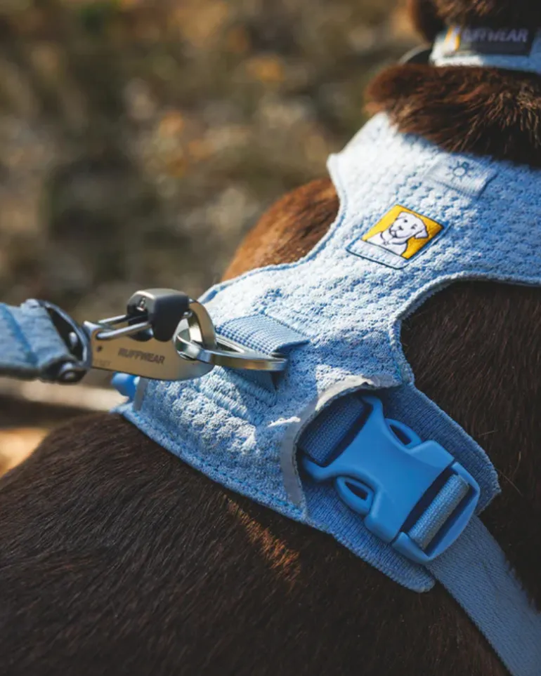 Front Range Flex Harness in Rose Violet