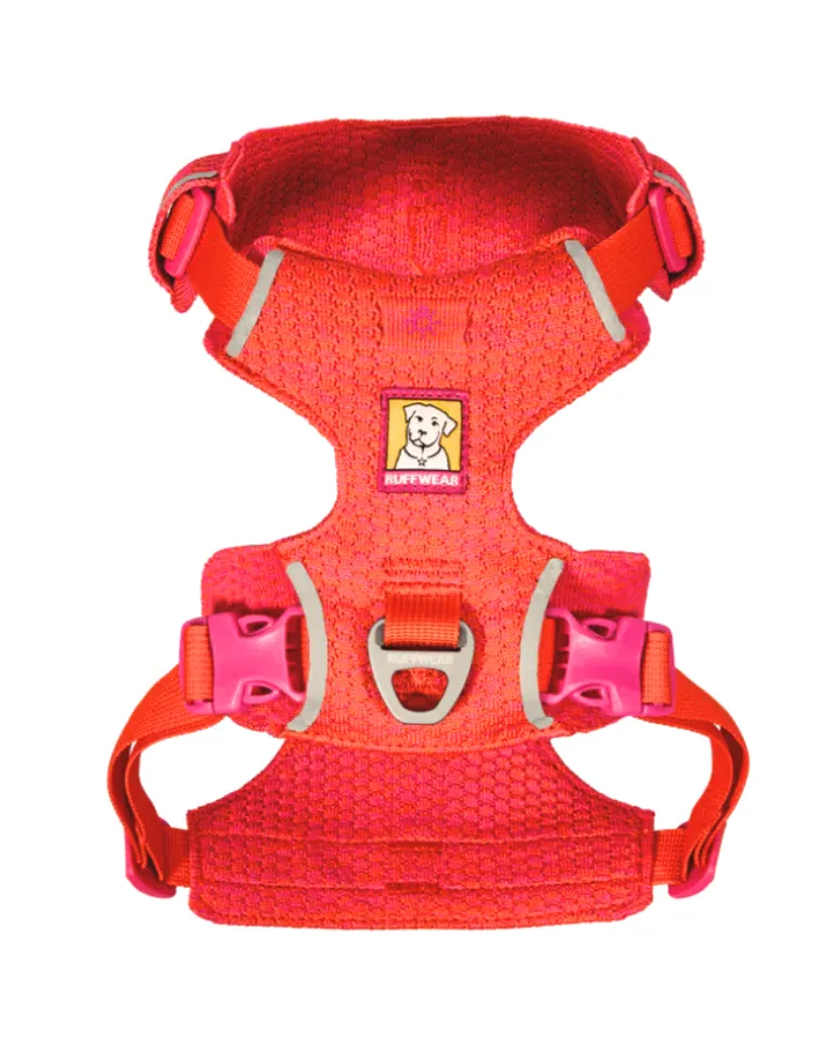 Front Range Flex Harness in Rose Violet
