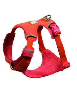 Front Range Flex Harness in Rose Violet
