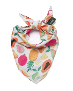 Fruit Salad Cooling Dog Bandana