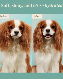 Furfection Rice Water Paw & Facial Shampoo