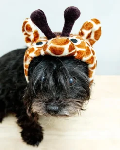 Giraffe Dog Hat (FINAL SALE)