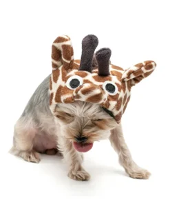 Giraffe Dog Hat (FINAL SALE)