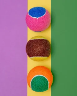 Go Get the Ball! Dog Toy (3-Pack)