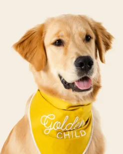 Golden Child Dog Bandana