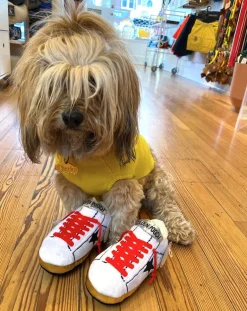 Golden Pooch Sneaker Plush Dog Toy