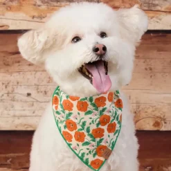 Golden Poppies Dog Bandana (Made in the USA)
