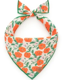 Golden Poppies Dog Bandana (Made in the USA)