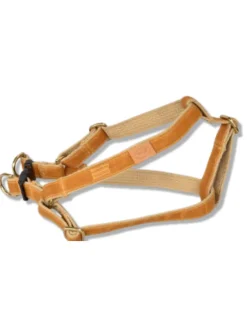 Golden Waxed Dog Harness (Made in the USA)