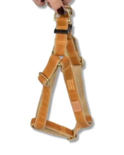 Golden Waxed Dog Harness (Made in the USA)