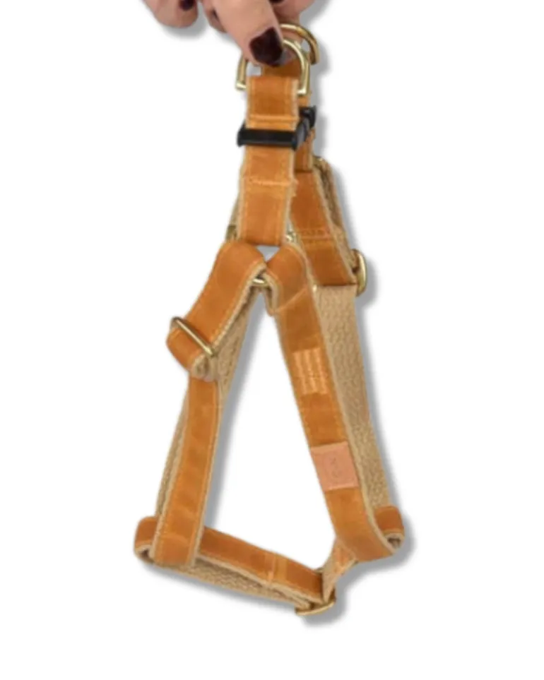 Golden Waxed Dog Harness (Made in the USA)