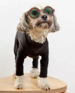 Gold Paw Body Warm Onesie Dog Suit in Black (Made in the USA)