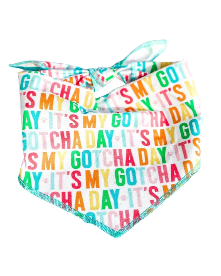 Gotcha Day Rainbow Barkday Bandana