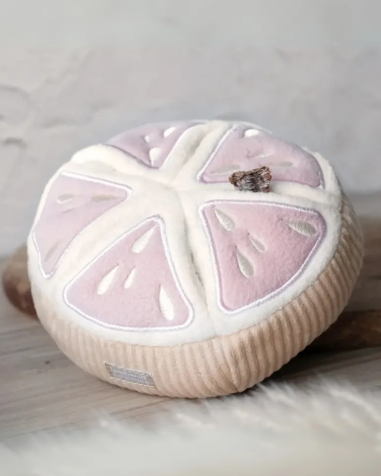 Grapefruit Plush Enrichment Dog Toy