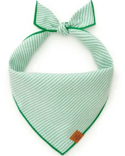 Green Seersucker Dog Bandana