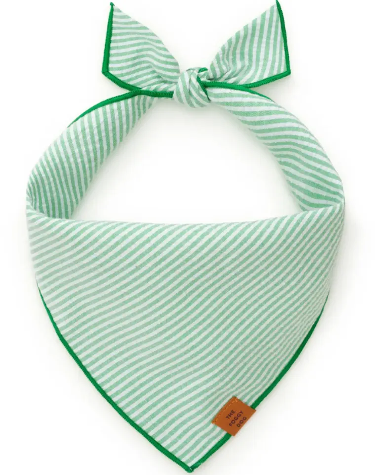 Green Seersucker Dog Bandana