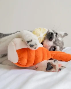 Grilled Lobster Nosework Dog Toy