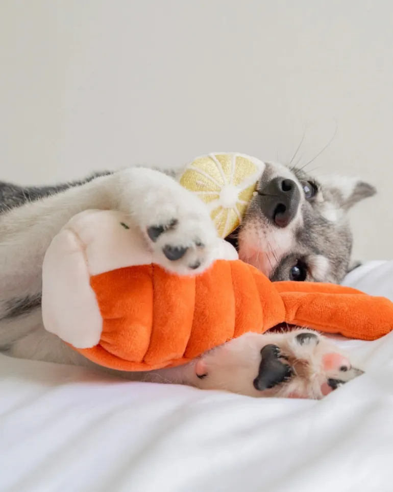 Grilled Lobster Nosework Dog Toy
