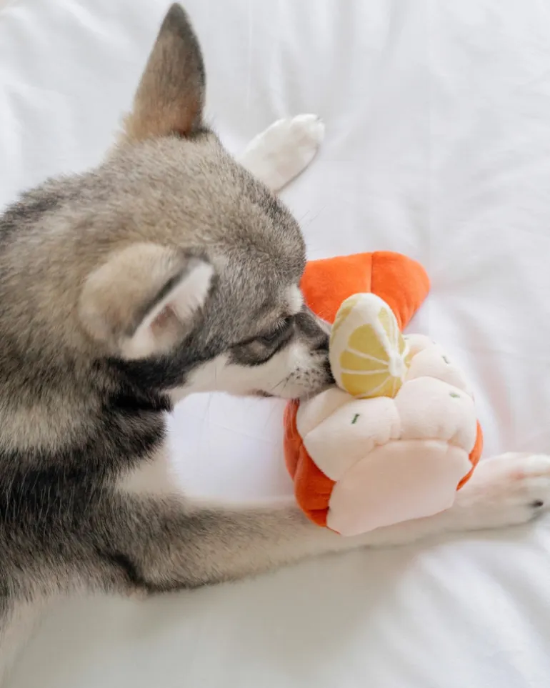 Grilled Lobster Nosework Dog Toy