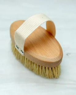 Grooming Dog Brush No. 01