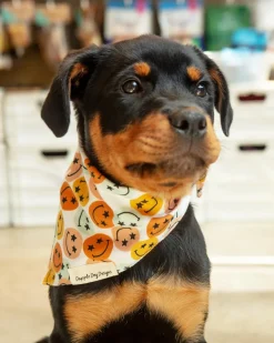 Groovy Smile Dog Bandana (Made in the USA)