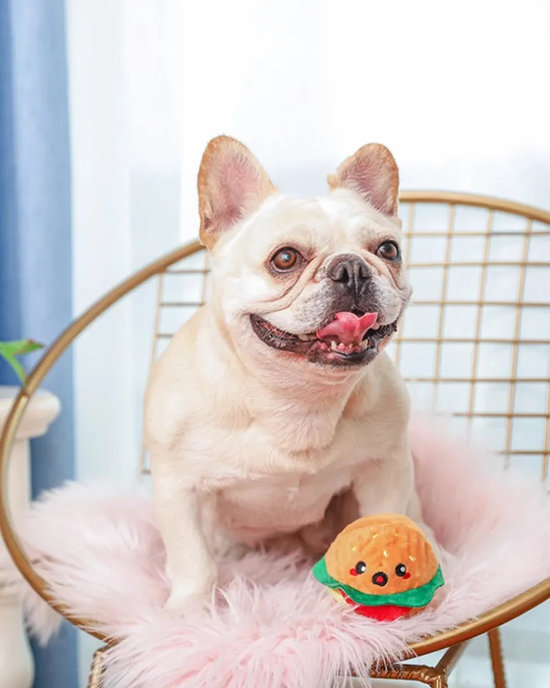 Hamburger Squeaky Ball Dog Toy