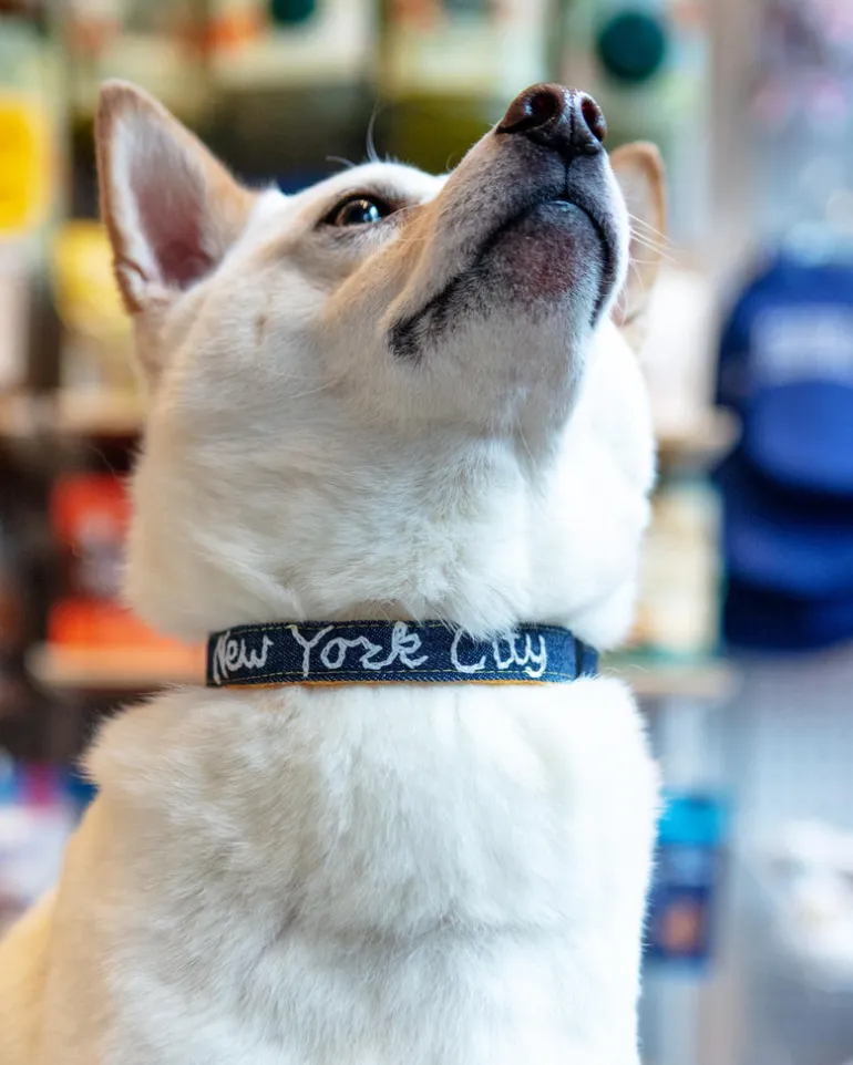 Hand Embroidered "New York City" Dog Collar in Dark Denim (Made in the USA)