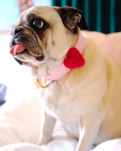 Heart Dog Collar Accessory in Pink (Made in the USA)
