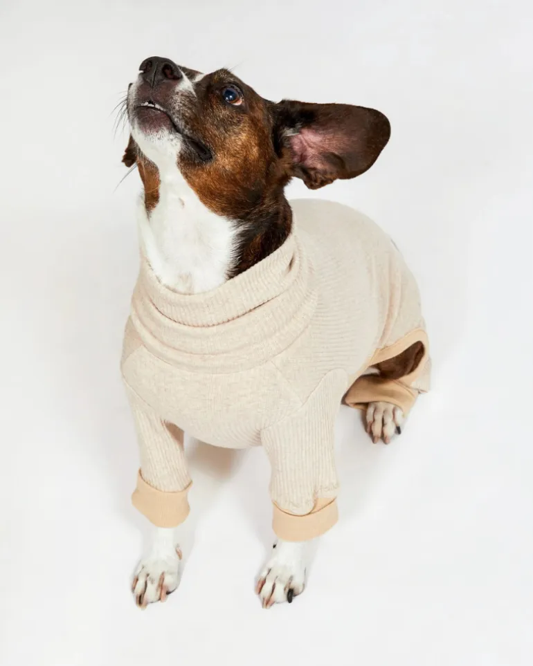 High-Neck Dog Onesie in Beige (FINAL SALE)