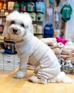 High-Neck Dog Onesie in Beige (FINAL SALE)