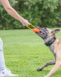 Hive Zoomer Launcher & Looped Ball Dog Toy (Made in the USA)