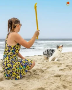 Hive Zoomer Launcher & Looped Ball Dog Toy (Made in the USA)