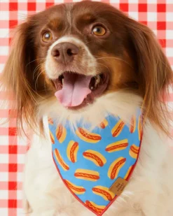Hot Diggity Dog Tie-On Bandana